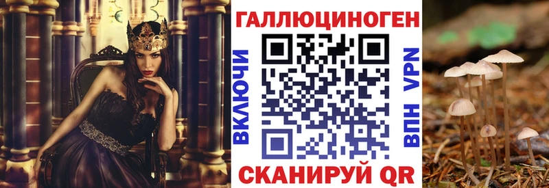 Псилоцибиновые грибы ЛСД Партизанск