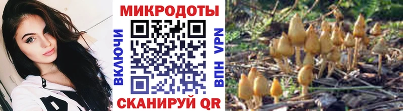 Галлюциногенные грибы MAGIC MUSHROOMS Партизанск
